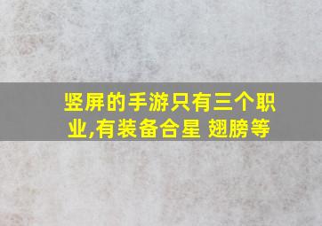 竖屏的手游只有三个职业,有装备合星 翅膀等